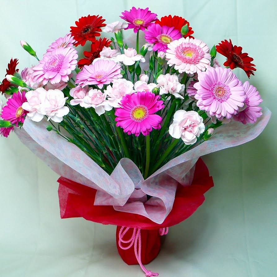 Amazon | 866【母の日】カーネーション・ガーベラ 赤・ピンク系